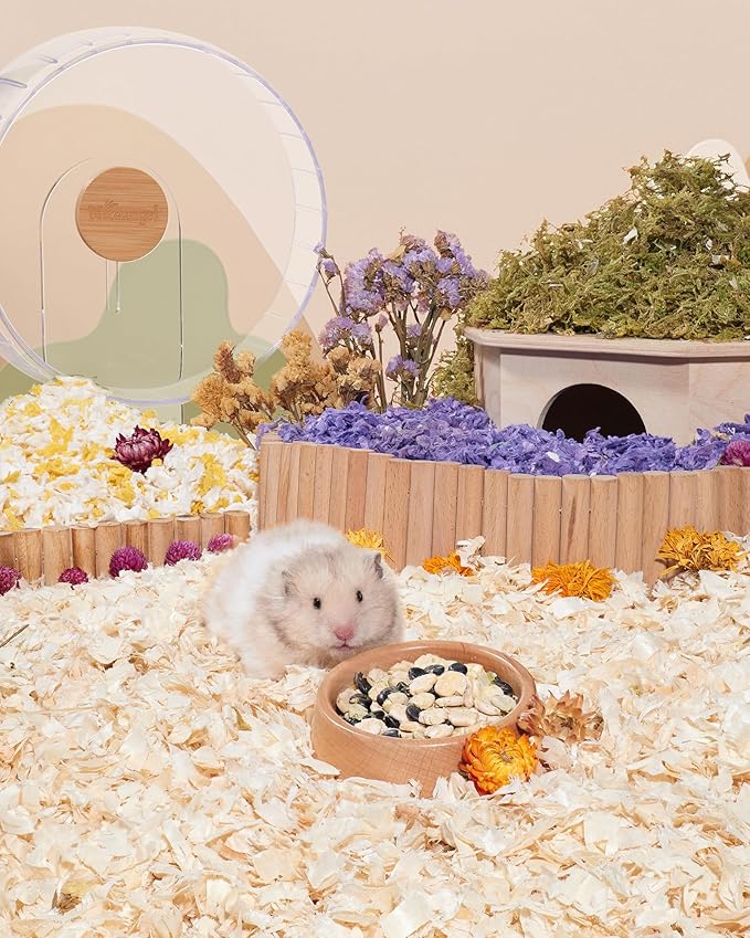 Niteangel Hamster Snack & Treats Toy - Small Animal Natural Treat for Dwarf Syrian Robo Hamsters Gerbils Mice Lemmings Degus or Other Small-Sized Pets