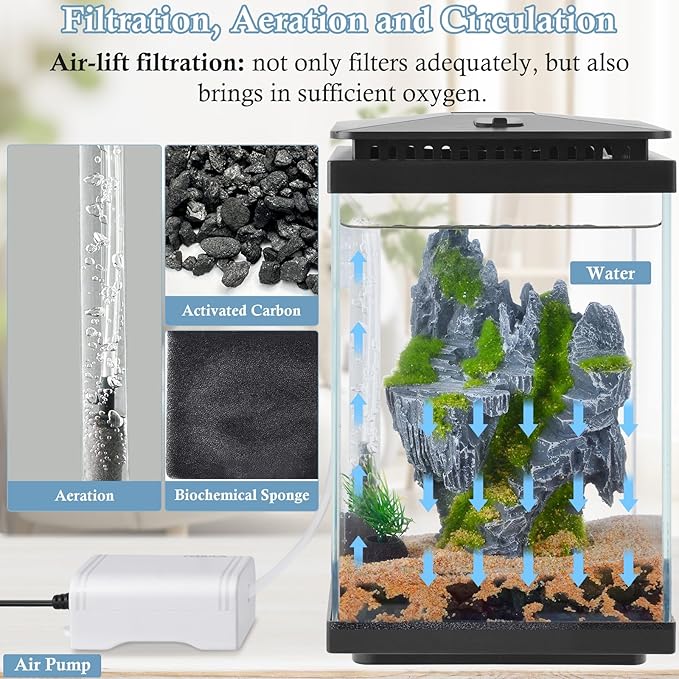 FEDOUR Small Glass Aquarium, 1 Gallon Desktop Fish Tank, Betta Fish Tank, Mini Aquarium Starter Kit with Air Pump LED Light Decoration Water Changer Fish Net (Black)