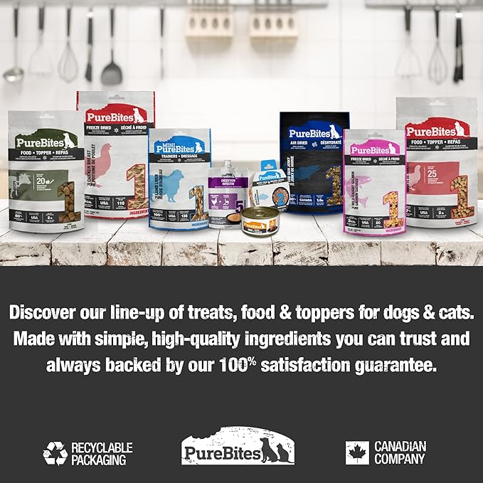 PureBites Salmon Freeze Dried Cat Treats, 0.92Oz | 26G - Value Size