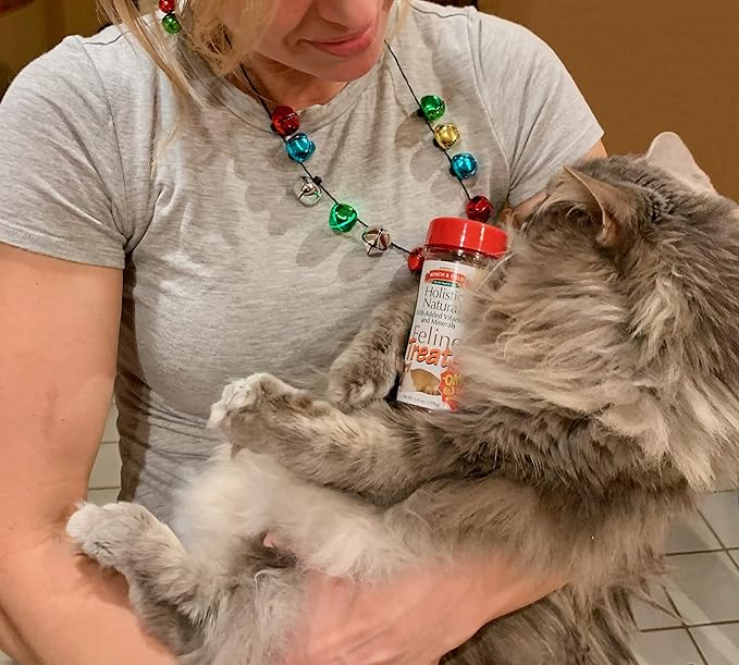 Bench & Field Holistic Natural Healthy Kitty Cat Treats | Crunchy Fish-Shaped Bites | Delicious Seafood Flavored Snack, 3-Ounce (Pack of 12 Bottles)