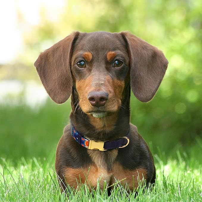 AirTag Dog Collar for Small Medium Large Breed - Adjustable Cute Pattern Dog Collar with Airtag Holder - Soft Leather Tracker GPS Apple Air Tag Pet Collars (X-Small, 9"-12" Neck Fit, Navajo)