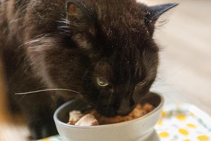 hotspot pets Freeze Dried Tuna Treats for Cats & Dogs - Made in USA, 1lb Value Bag, Single Ingredient, All Natural -Healthy, High Protein, Perfect for Training, Topper or Snack