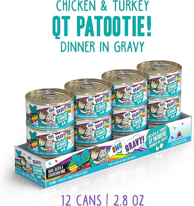 Weruva B.F.F. OMG - Best Feline Friend Oh My Gravy! Grain-Free Wet Cat Food Cans, QT Patootie! Chicken & Turkey, 2.8 oz Can (Pack of 12)