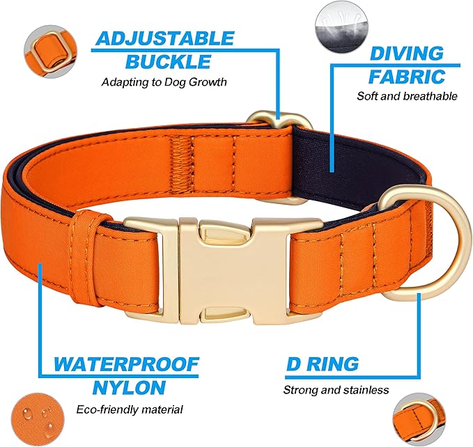 Didog Soft Padded Dog Collars for Small Dogs, Colorful and Durable Dog Collar with Quick Release Buckle, Light and Breathable for Daily Walking, Orange, S