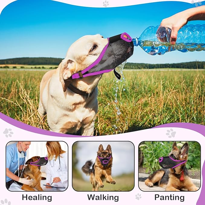 Dog Muzzle, Soft Air Mesh Muzzle for Small Medium Large Dogs Anti Biting Barking Chewing Scavenging, Breathable Adjustable Loop Pets Muzzle with Front Opening Design Allows Panting Drinking(Purple,XL)