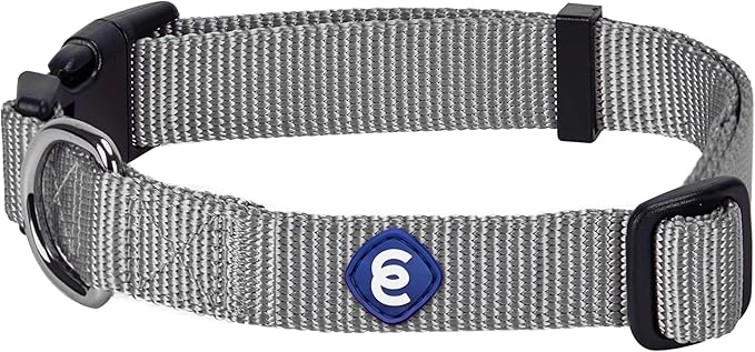 Blueberry Pet Essentials Medium Dog Collar in Flint Gray | Adjustable & Eco-Friendly Durable Nylon Strap | Classic Collar for Medium Dogs, Boy & Girl Pets
