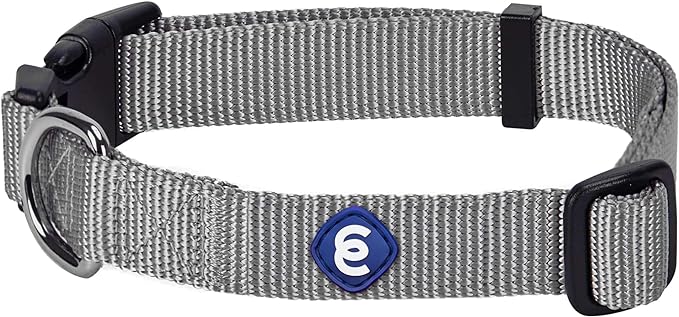 Blueberry Pet Essentials Small Dog Collar in Flint Gray | Adjustable & Eco-Friendly Durable Nylon Strap | Classic Collar for Small Dogs, Boy & Girl Pets