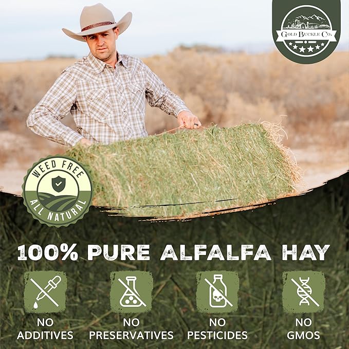 10lb Freshly Dried Organic Alfalfa Hay for Guinea Pigs, Rabbits, Chinchillas, Goats, Hamsters & Ferrets, Small Animal Food Rich in Protein & Fiber, Hand-Selected, Hand sorted, USA Grown