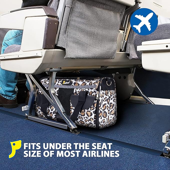 Pet Carrier for Small Dogs and Cats - Soft-Sided Travel Kennel, Portable Foldable Bag (Large)