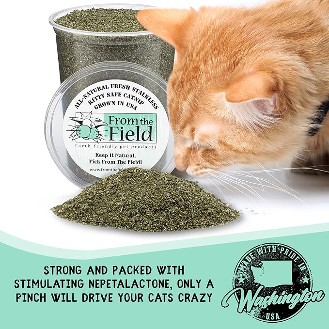 from The Field | Fine Ground Stalkless Catnip | Premium USA-Grown Catnip for Toys & Playtime | Fresh, Potent, Non-Toxic, Eco-Friendly | Safe for Kittens & Cats | Resealable 3.5 oz Tub