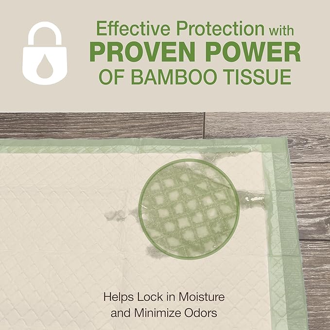 Four Paws Wee-Wee Superior Performance Bamboo Pee Pads for Dogs, Earth Friendly Dog & Puppy Potty Training Pads, Crate Liners, Housebreaking Supplies, 22" x 23" (200 Count)