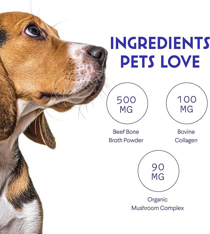 Bone Broth for Dogs – Bone Broth Powder with Organic Mushrooms & Collagen for Digestion, Immunity & Joint Support – Tasty Beef Supplement for Dogs of All Ages, Sizes & Breeds – 3.20 oz
