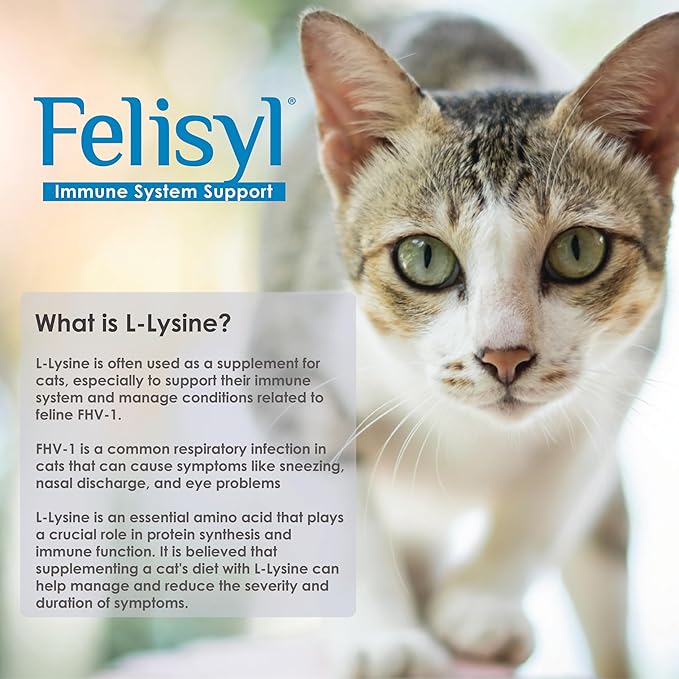 L-Lysine Gel for Cats (5oz) – Supports Immune, Respiratory, and Eye Health. Eases Sneezing, Runny Nose, and Watery Eyes. Tasty Salmon Flavor - Made in The USA (2 Pack)