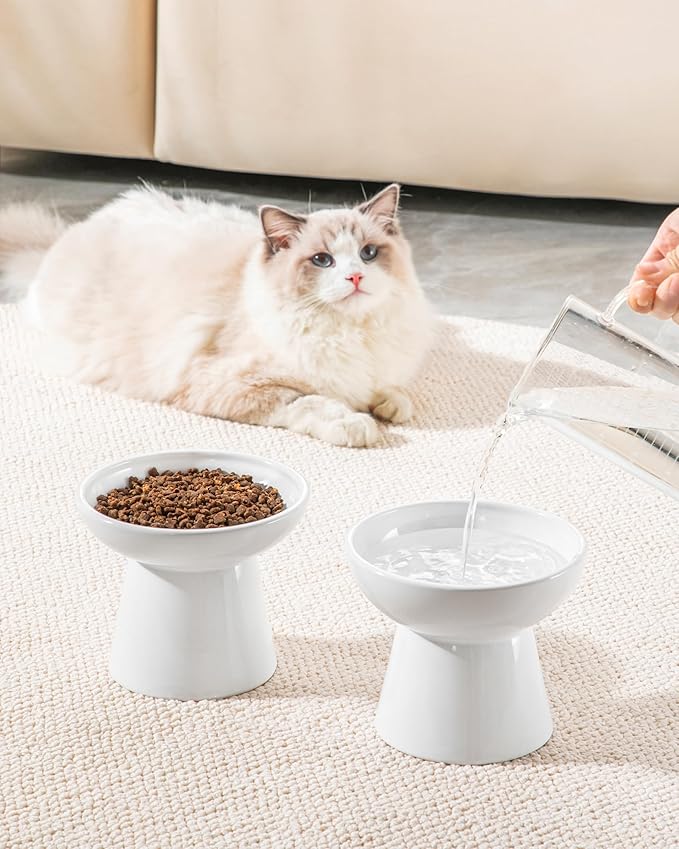 vancasso Ceramic Elevated Cat Bowls 2-Pack - 6.2" Extra Wide Raised Cat Food & Water Dishes, 5.1" Optimal Height Anti-Whisker Fatigue Shallow Bowls for Cats/Kittens/Dogs, Lead & Cadmium Free (White)