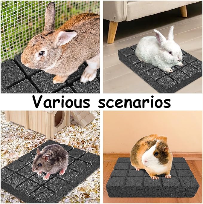 Hamiledyi 4PCS Rabbit Scratching Pads Bunny Lava Grinding Claw Pads Small Animal Foot Pads Hamster Scratch Board Chew Toys for Gerbil Chinchilla Hedgehog Guinea Pig Cage Accessories