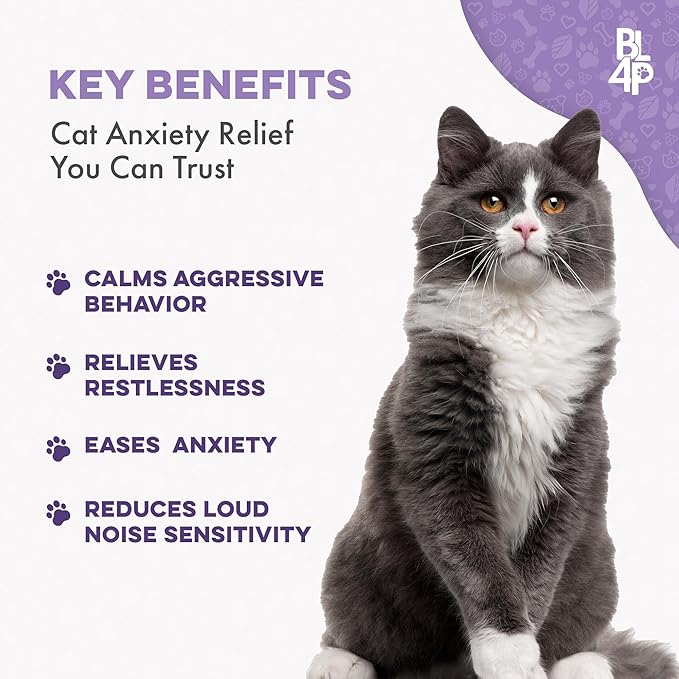Anti Aggression for Cats Calming Remedy, A Natural Diffuser and Cat Calming Aid for Stress, Spiteful Spraying, Scratching & Territorial Behavior, Non-Drowsy, 400 Odorless, Tasteless Pills