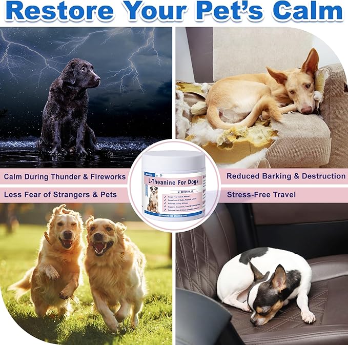 L-Theanine Supplement for Cats & Small Dogs – Helps Keep Pets Calm & Relaxed – for Small, Medium & Large Dogs & All Cats – 100g Powde