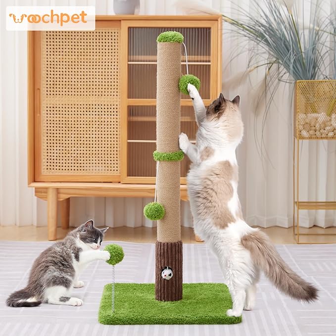 33" Tall Cat Scratching Post for Indoor Cats, Premium Sisal Scratch Posts with Cat Toys and Fun Mouse Holer for Cats at All Ages, Scratcher Tree with Reinforced Stable Base (Green)