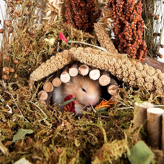 Natural Ear of Grain Flower&Herb Bedding Mate Habitat Decor, Adding Fun Hamster Accessories for Hamsters Gerbils Lemming