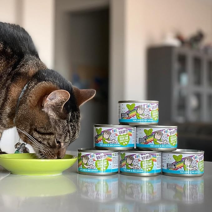 Weruva B.F.F. OMG - Best Feline Friend Oh My Gravy! Grain-Free Wet Cat Food Cans, Crazy 4 U! Chicken & Salmon, 2.8oz Can (Pack of 12)
