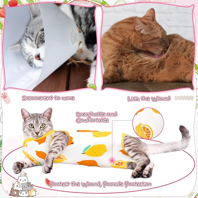 Nuanchu 3 Pieces Cat Recovery Suit Kitten Recovery Suit E-Collar Alternative for Cats and Dogs Abdominal Skin Anti Licking Pajama Clothes Sets(Fruit Pattern,Medium)