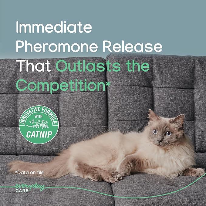 Virbac Zenifel Gel Diffuser for Managing Stress-Related Behaviors in Kittens & Cats - No Electricity Needed - Lasts Up to 2 Months - 1 Diffuser