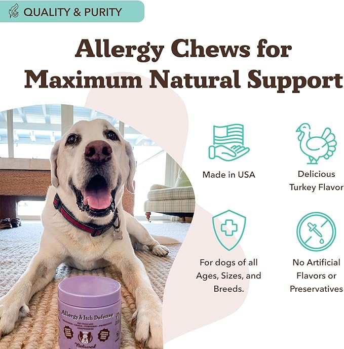 Natural Dog Company Allergy & Itch Defense Chews – Allergy Support for Dogs, Itch Relief, Skin, Coat & Gut Health with Probiotics, Colostrum & Salmon Oil, Grain-Free Dog Supplement, 90 ct