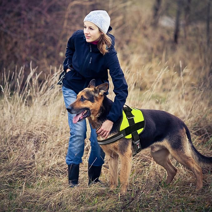 Dogline Dog Harness, Reflective No-Pull Adjustable Vest with Handle for Walking, Training, Breathable, No - Choke Harness for Small, Medium or Large Dogs Room for Patches Girth 27 to 34 in Lime Green