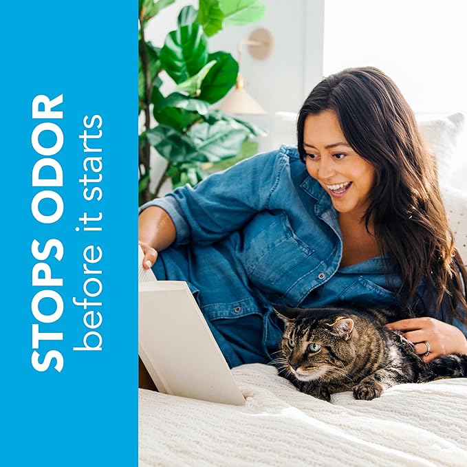 ökocat Original Wood Clumping Cat Litter, Unscented, 13.2 pounds - Natural Ingredients, Stops Odor, Clumps Solid, 99% Dust Free, Great for All Cats