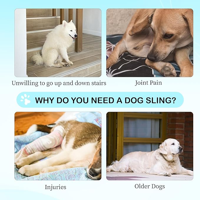 Dog Hip Support Brace – Rear Leg Lift Harness for Mobility & Post-Surgery Recovery, with Chest Straps and Adjustable Elastic Buckles, Customization