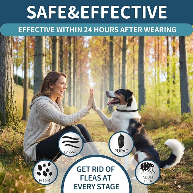 Flea and Tick Collar for Dogs 4 Pack, 32 Months Prevention, Waterproof, Adjustable for Small Medium Large Dogs Puppies (Black and Grey)