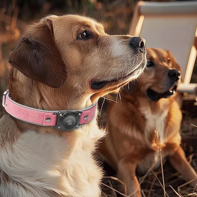 AirTag Dog Collar - Leather Dog Collar with Air Tag Holder | IPX8 Waterproof, Reflective, High - End, Adjustable Soft Padded | Dog GPS Tracker Collars Fit for Medium Large Dogs (Pink, XL)