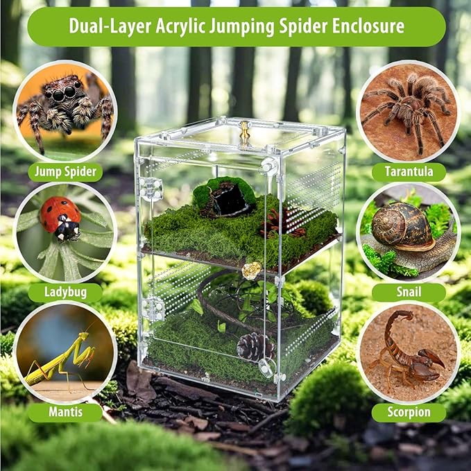 Large Jumping Spider Enclosure, 2 in 1 Acrylic Reptile Terrarium for Praying Mantis,Arboreal Tarantula,Frogs,Snails, 12"*8"*8" Breeding Habitat with Front & Top Opening Doors and Vent Holes