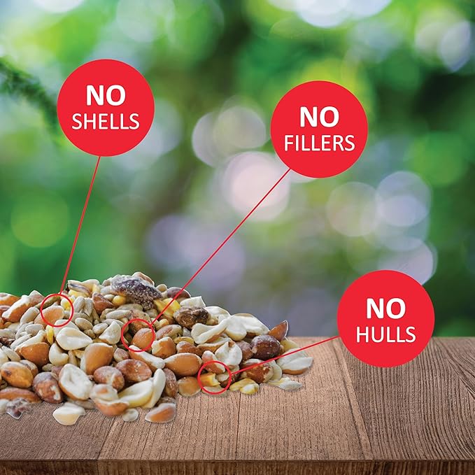 Lyric Woodpecker Wild Bird Seed, No Waste Bird Seed with Nuts, Dried Fruit & Shelled Seeds - 5 lb. Bag