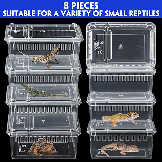 Irenare 8 Pcs Reptile Breeding Breeding Box Plastic Spider Terrarium Tarantula Feeding Box for Bearded Dragon Lizard Spider Gecko Scorpion (Vent Strips,5.9 x 3.9 x 2.5 Inch)