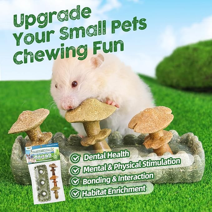 TEEWY 4PCS Guinea Pig Chew Toys, Prevent Teeth Overgrowth, Natural Vegetables and Timothy Grass, Hamster Chew Toys, Guinea Pig Toys, Chinchilla Toys, Grass Patch & Mushrooms