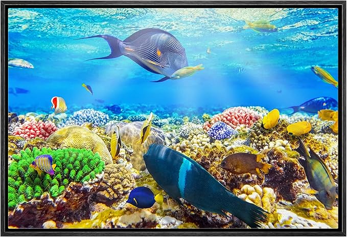 wall26 Framed Canvas Print Wall Art Sunlight Ocean Sea Coral Reef Anemone Fish Nature Animals Realism Rustic Scenic Landscape Wilderness Earth for Living Room, Bedroom, Office - 24"x36" Black