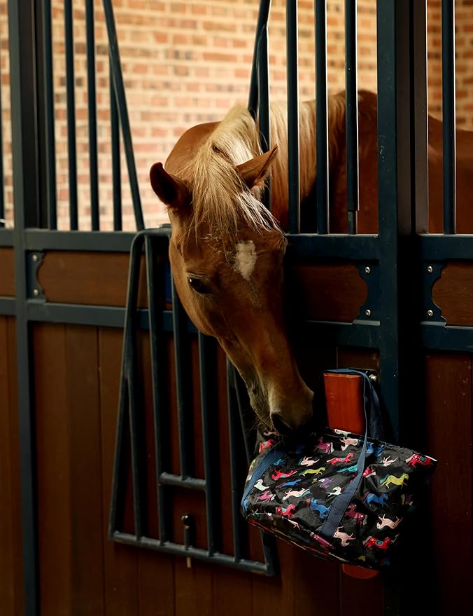 Harrison Howard Horse Grooming Kit 11-Piece Equine Care Series Horse Brush Sets with Organizer Tote Bag Tack Room Supplies Shedding Grooming Massaging Tools Black Brushstroke Ponies