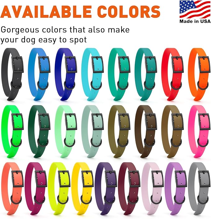 Dogline Biothane Waterproof Dog Collar Strong Coated Nylon Webbing with Black Hardware Odor- Proof for Easy Care Easy to Clean High Performance Fits Small Medium or Large Dogs, Lemon Yellow