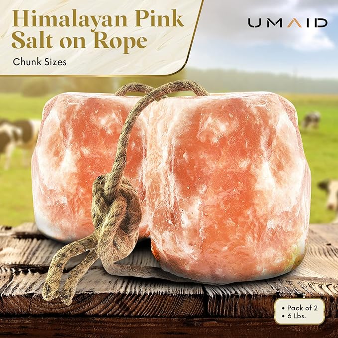 UMAID Himalayan Salt Lick 6 lbs On Rope for Horse, Deer, Goat, and Livestock Animals - Himalayan Salt Block 1 Pack