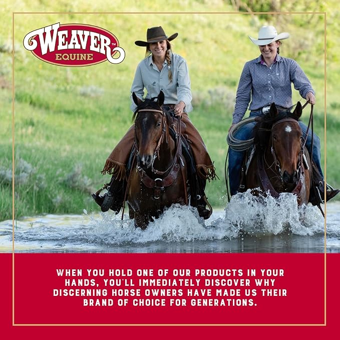 Weaver Equine Breakaway Horse Halter, Comfort Foam Padding, Adjustable Chin & Throat Snap Halters for Horses, Equine Tack,Average Size, Blue