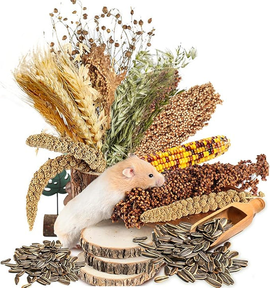 Natural Ear of Grain Flower&Herb Bedding Mate Habitat Decor, Adding Fun Hamster Accessories for Hamsters Gerbils Lemming