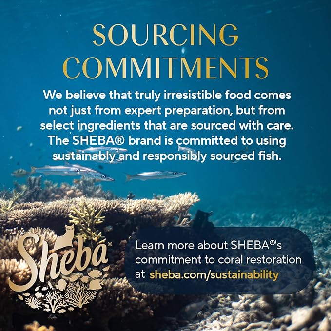 Sheba Perfect Portions Wet Cat Food Cuts in Gravy Variety Pack, with Sustainable Salmon, Tender Trout Entree, and with Sustainable Tuna, 2.6 oz. Twin-Pack Trays (24 Count, 48 Servings)