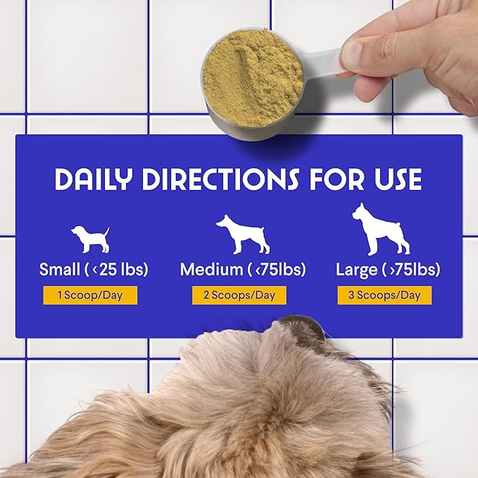 Bone Broth for Dogs – Bone Broth Powder with Organic Mushrooms & Collagen for Digestion, Immunity & Joint Support – Tasty Beef Supplement for Dogs of All Ages, Sizes & Breeds – 3.20 oz