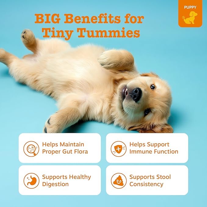 Zesty Paws Puppy Probiotics for Dogs - for Digestive Health, Gut Flora & Immune System Support - Dog Probiotics for Puppies with Bacillus subtilis & Pumpkin - 90 Count