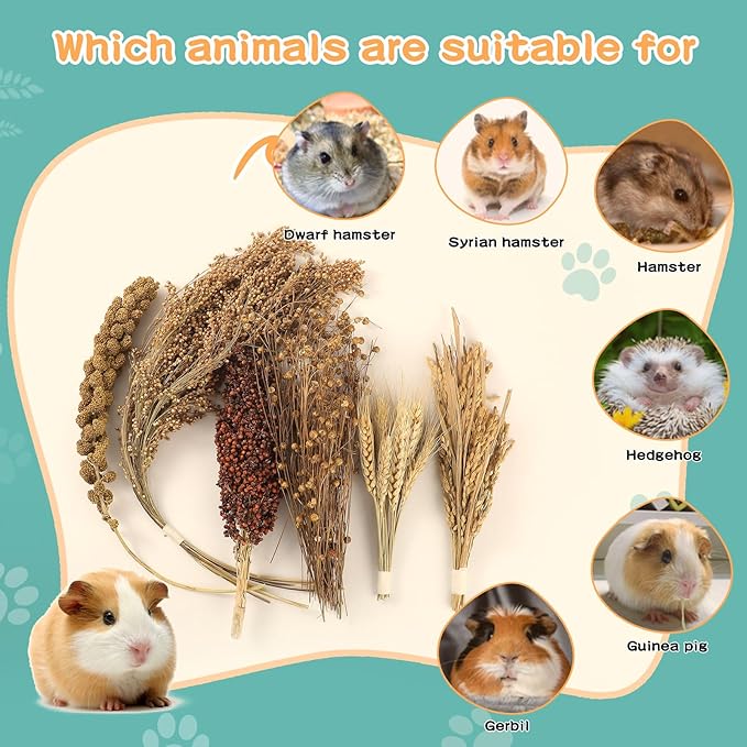 Hamster Spray Set - Natural Snack Grains & Chew Toys for Cage Decoration Accessories, Soft Bedding for Dwarf Syrian Hamsters, Gerbils, Mice & Small Pets