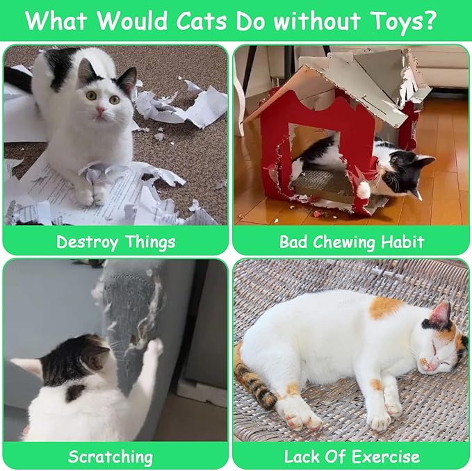 Cat Toys Pineapple with Natural Catnip Inside, Interactive Catnip Toys for Indoor Cats Kitten Kicker, Dental Kitty Chew Toy 6 Pack