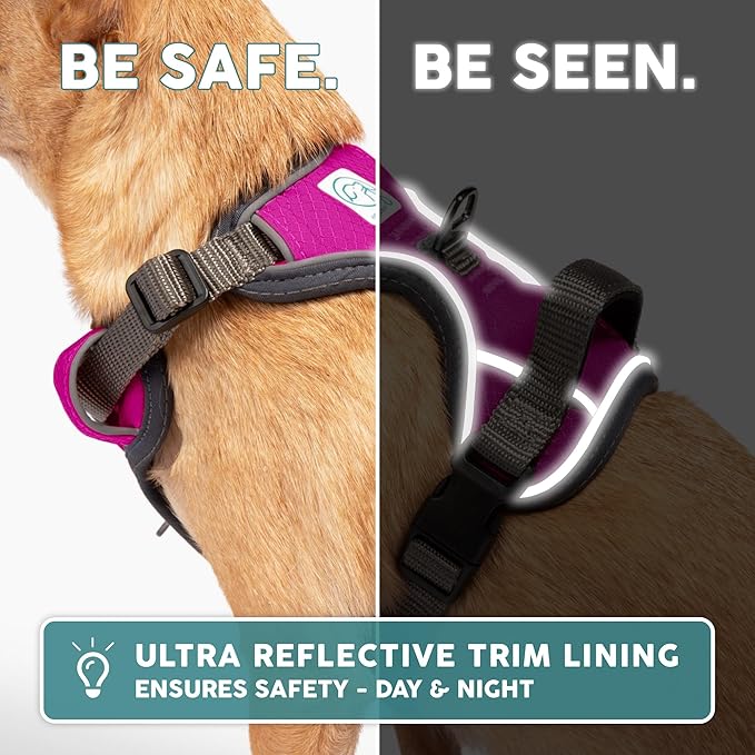 Embark Adventure Dog Harness, No-Pull Reflective Trim Dog Harness for Small, Medium & Large Dogs - Military Grade Nylon, 2 Leash Clips & Gel Lined Handle. Soft & Padded Puppy Dog Vest for Any Breed