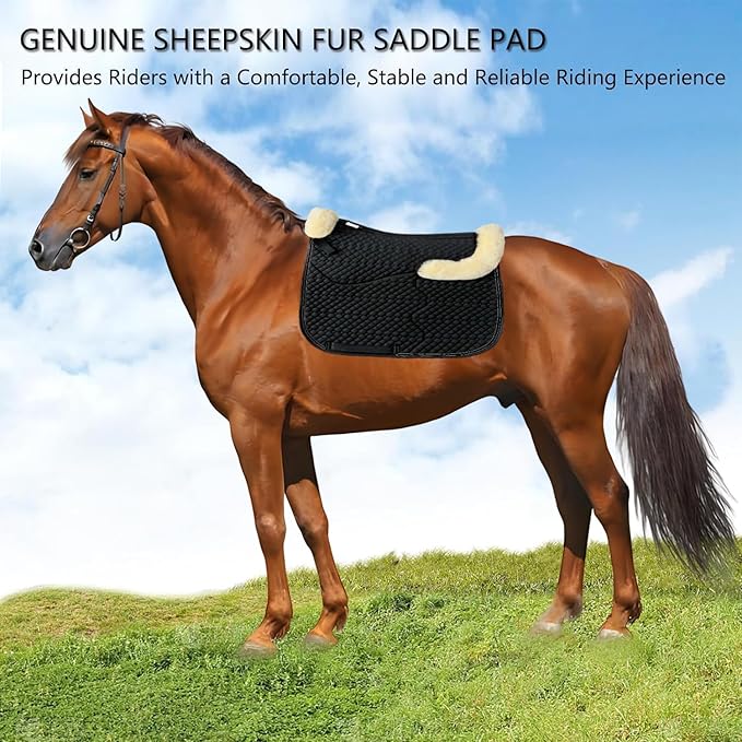 Woolous Dressage Saddle Pad, English Saddle Pad with Sheepskin Trim, Lambskin Wool Fleece Lining, Square Saddle Pad for Equestrian Riding, Comfortable & Shock Absorbing