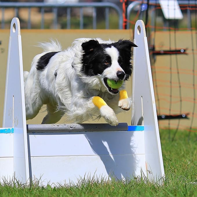 PetFlex Color Pack – Flexible Self-Adhering Elastic Bandage for Wound Care – First Aid Wrap for Small Animals Like Dogs, Cats, and Other Pets - 2 inch, 6 Rolls